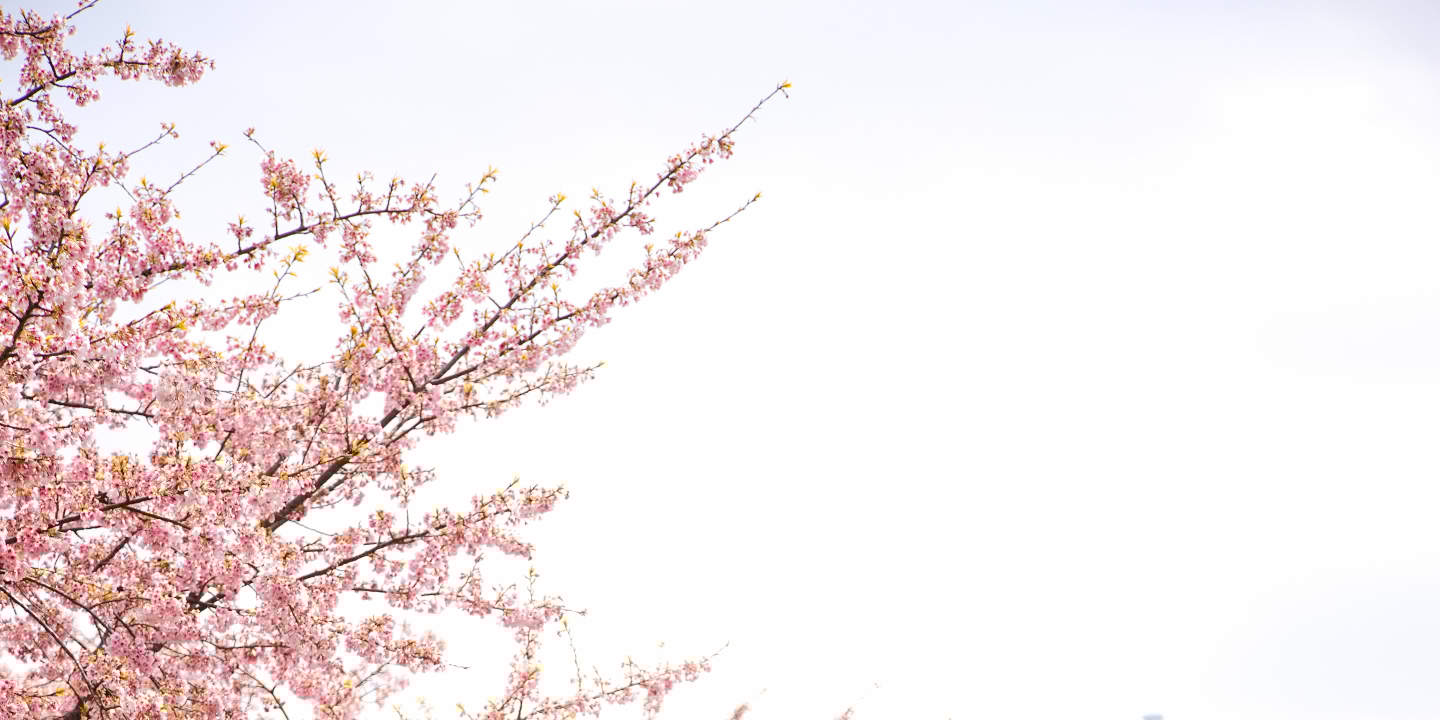 Tokyo: Wedding Photo Tour dengan 3 Lokasi & Pro Styling